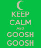 2018-04-08 09_27_28-goosh - Google-Suche.png