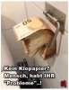 Klopapier.jpg